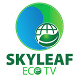 Skyleaf Eco TV приглашает к сотрудничеству