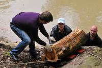 Акция «Зеленая Россия» прошла в пойме реки Сетунь